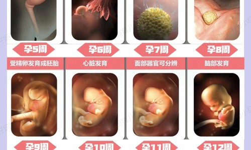 怀孕脸肿正常吗-刚怀孕脸肿了怎么回事专区_孕妇脸肿对胎儿的影响专区_怀孕初期脸肿能服用药么网
